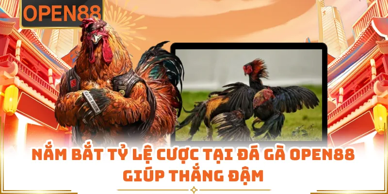 Nắm Bắt Tỷ Lệ Cược Tại Đá Gà OPEN88 Giúp Thắng Đậm